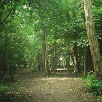 לינה וארוחת בוקר Burton Grange בורוברידג'