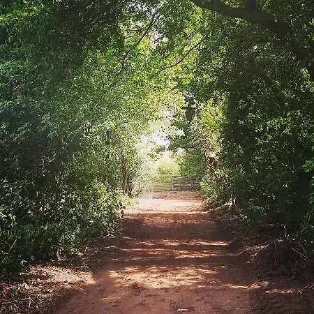 Burton Grange Alojamento de Acomodação e Pequeno-almoço