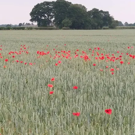 Burton Grange Alojamento de Acomodação e Pequeno-almoço