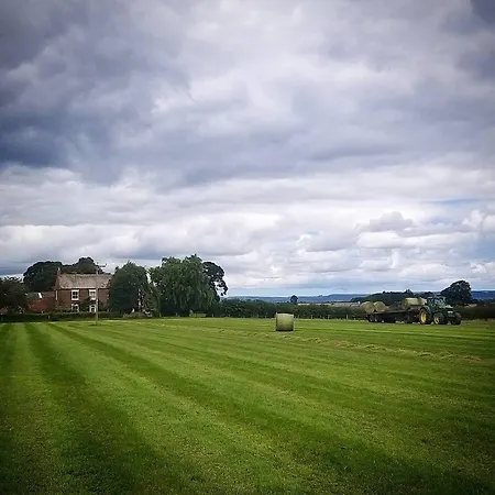 Burton Grange 4*