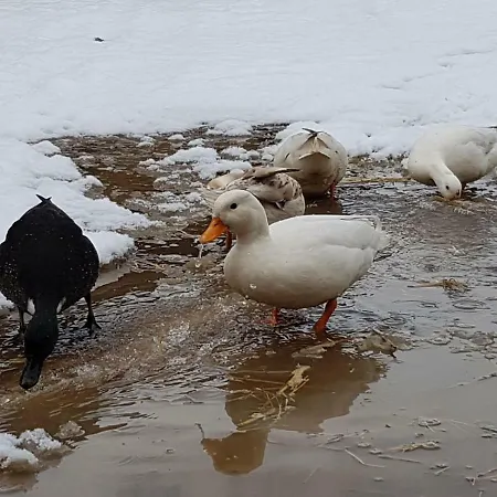 Burton Grange Alojamento de Acomodação e Pequeno-almoço