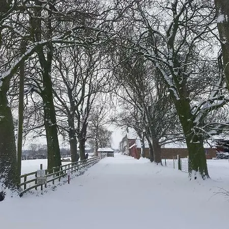 Alojamento de Acomodação e Pequeno-almoço Burton Grange 4*