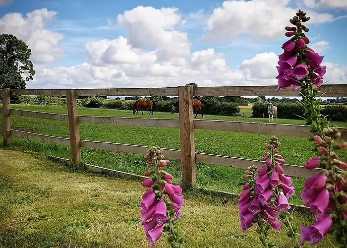 Burton Grange 4* Boroughbridge