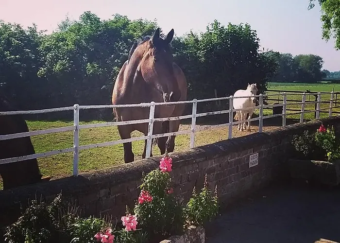 Bed & Breakfast Burton Grange