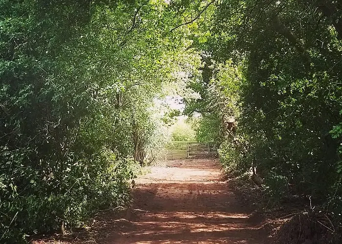 Burton Grange Bed & Breakfast