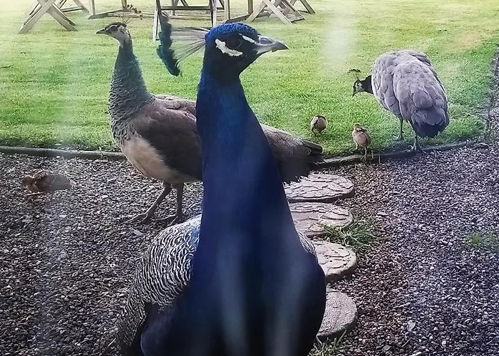 Bed & Breakfast Burton Grange