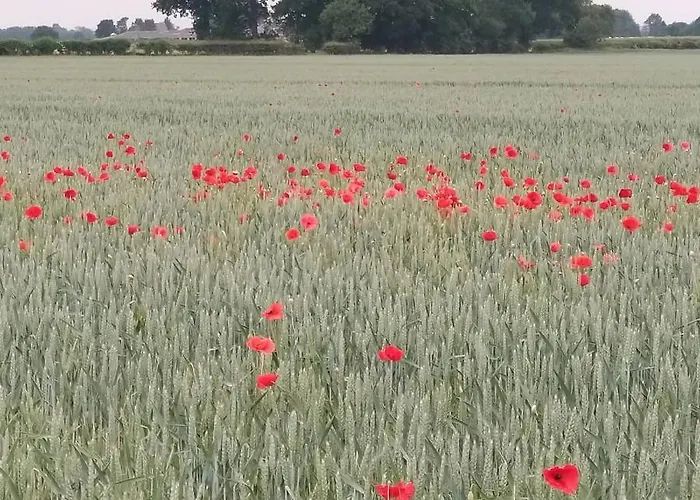 Burton Grange Bed & Breakfast