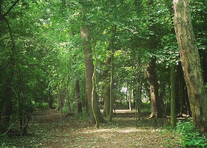 Bed & Breakfast Burton Grange Boroughbridge