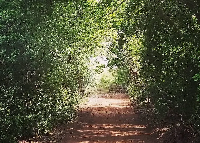 Burton Grange Bed & Breakfast 4*