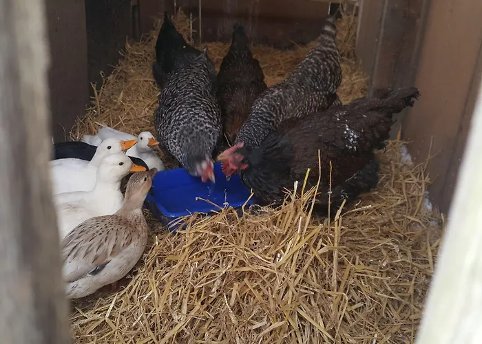 Bed & Breakfast Burton Grange