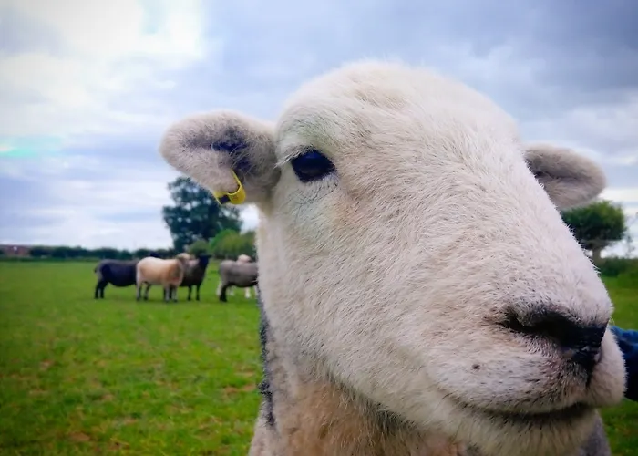 Burton Grange Bed & Breakfast Boroughbridge