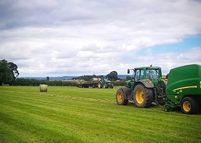 Burton Grange Bed & Breakfast