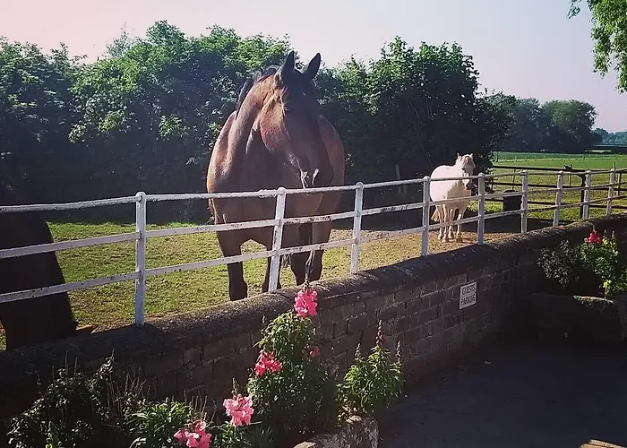 Bed & Breakfast Burton Grange 4*