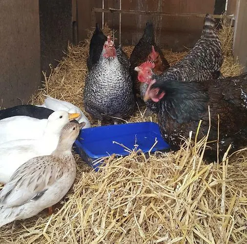 Burton Grange Bed & Breakfast Boroughbridge