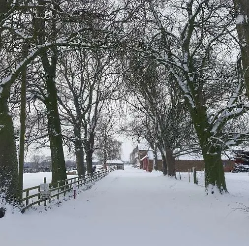 Bed & Breakfast Burton Grange 4*