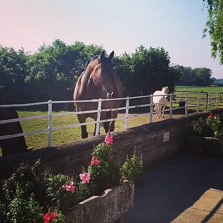 Panzió Burton Grange 4*